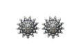 Silver Oxidise Earrings